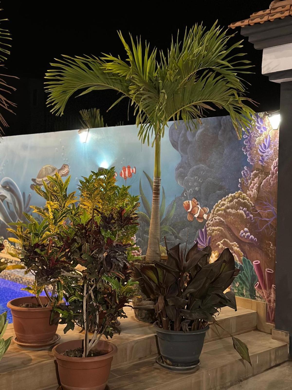 Villa Hawa, Decor Unique & Piscine Somone Εξωτερικό φωτογραφία